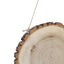 2 Pack 8" Dia Natural Blank Hanging DIY Wood Sign, Round Wood Plaques