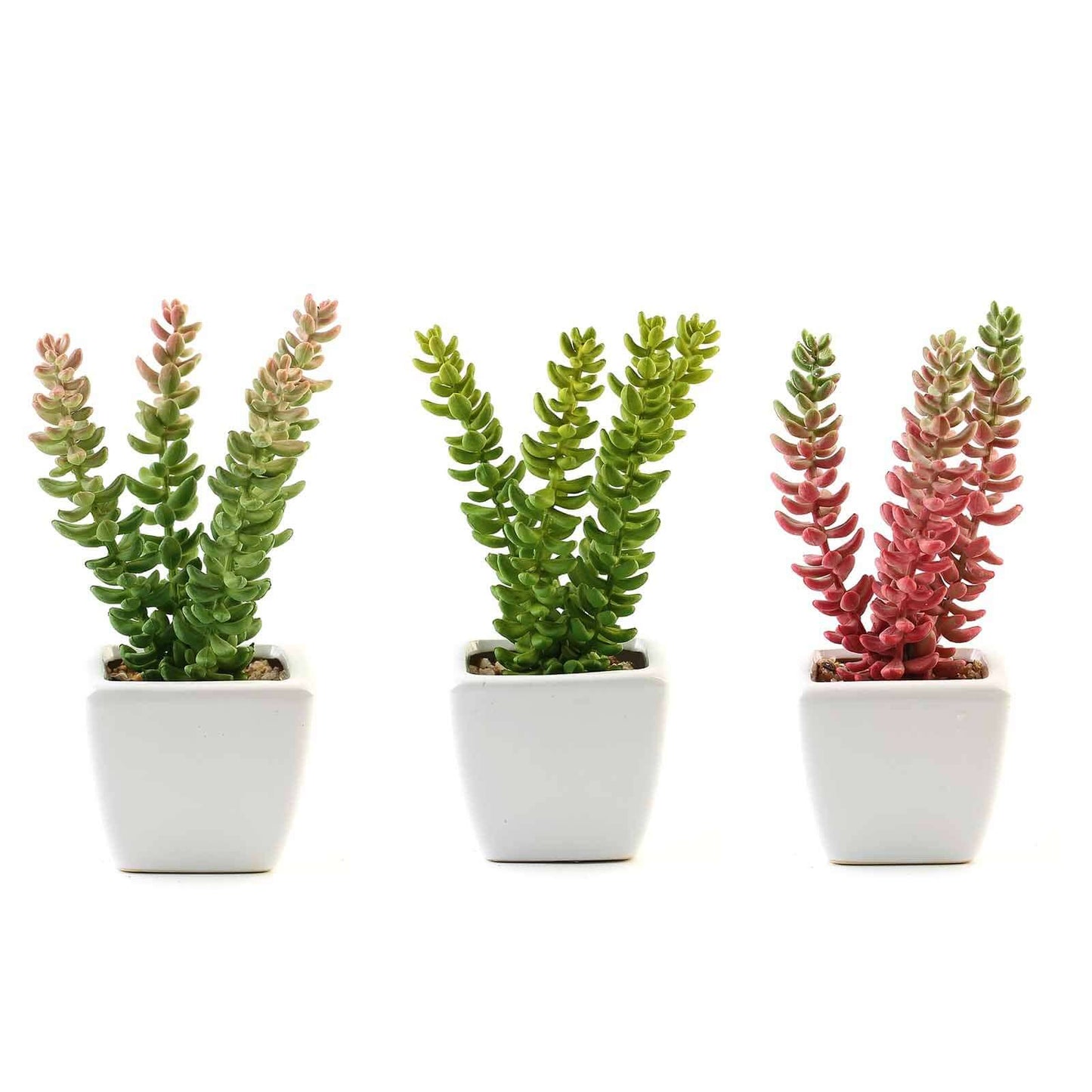 3-Pack Sedum Artificial Succulents in Ceramic Pot - Lifelike Decorative Faux Plants for Home Office & Event Design 8"