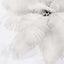 12 Pack 13"-15" Ivory Natural Plume Real Ostrich Feathers, DIY Centerpiece Fillers