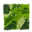 Artificial Boxwood Greenery Wall Panels, 40"Ã—40" Grass Panels with Variegated Leaves and White Flowers, UV-Protected Backdrop for Outdoor Decor â€“ 2 Panels, Covers 22 Sq. Ft.