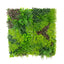 Artificial Greenery Wall Backdrop Panels, 40"Ã—40" Grass Panels with Mixed Fern and Ivy Leaves, UV-Protected for Outdoor Use â€“ 2 Panels, Covers 22 Sq. Ft.