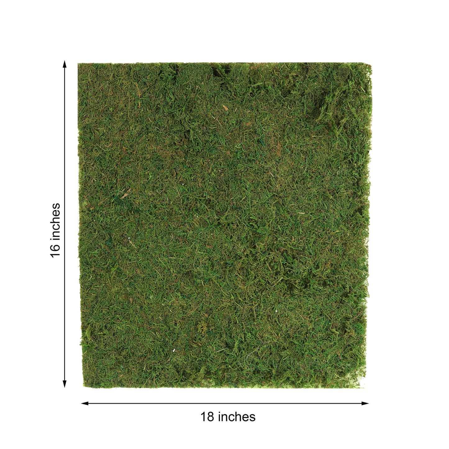 18"x16" Preserved Natural Moss Wall Sheet Roll, Moss Landscape Panel