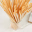100-Pack Compostable Straws Plant Based 100% Plastic Free - Sustainable Biodegradable Wheat Straws 9"