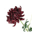 3 Stems Burgundy 27" Artificial Silk Chrysanthemum Bouquet Flowers, Large Faux Mum Branches
