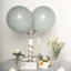 10 Pack 18" Matte Pastel Silver Helium or Air Latex Party Balloons