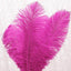 12 Pack 13"-15" Fuchsia Natural Plume Real Ostrich Feathers, DIY Centerpiece Fillers