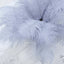 12 Pack 13"-15" Dusty Blue Natural Plume Real Ostrich Feathers, DIY Centerpiece Fillers