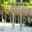 2-Pack Clear Ribbed Glass Hurricane Shades Open End Design - Stylish Candelabra Pillar Candle Holder Table Centerpiece 14"