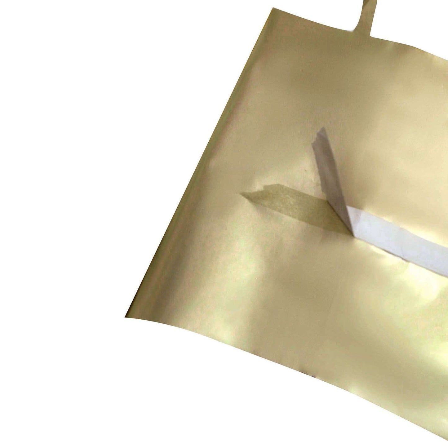 Champagne Round Chain Foil Fringe Curtain Party Backdrop, Metallic Champagne Tinsel Streamer Party Decor - Door Window Foil Curtain - 3ftx6.5ft