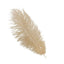12 Pack 13"-15" Beige Natural Plume Real Ostrich Feathers, DIY Centerpiece Fillers