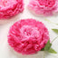 Set of 6 Pink Fuchsia Carnation 3D Paper Flowers Wall Decor - 7",9",11"