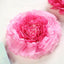 Set of 6 Pink Fuchsia Giant Carnation 3D Paper Flowers Wall Decor - 12",16",20"
