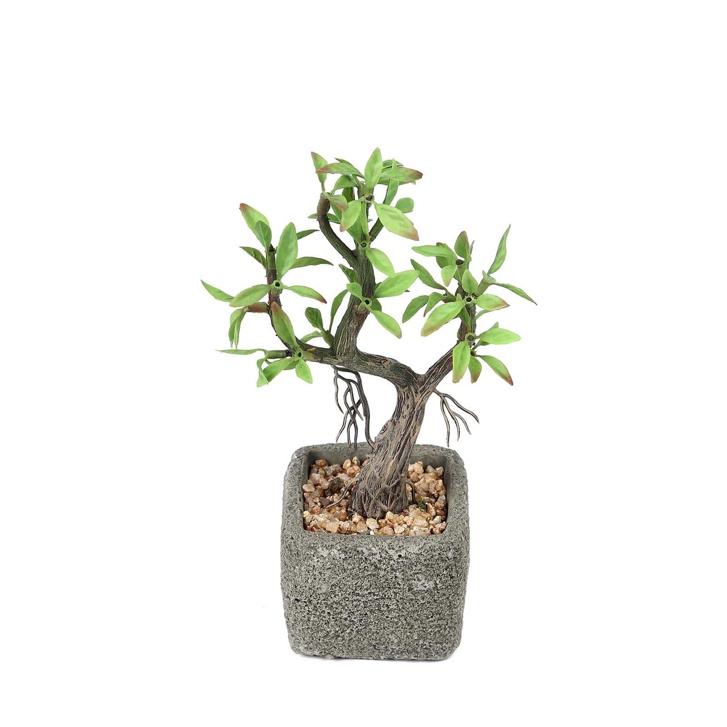 Willow Tree Artificial Succulents in Concrete Pot - Lifelike Decorative Faux Plants for Home Office & Event Design 9"