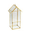 Glass Terrarium Hanging House Lantern Design Metal Gold - Versatile Holder for Air Plants & Displays 11"