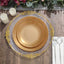 10-Pack Plastic 10" Round Dinner Plates in Gold with Gold Rim - Glossy Disposable Party Plates