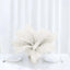 12 Pack 13"-15" Ivory Natural Plume Real Ostrich Feathers, DIY Centerpiece Fillers