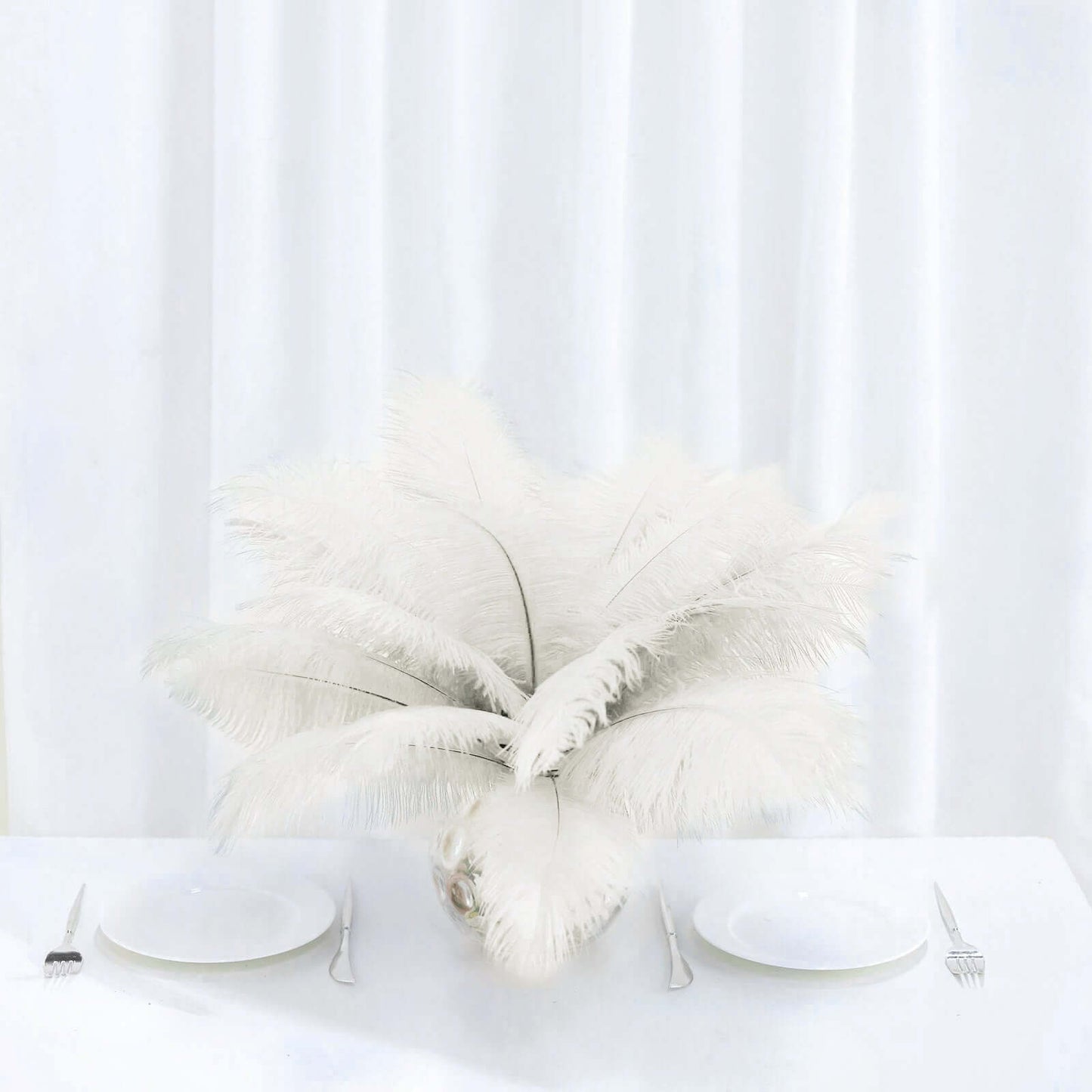 12 Pack 13"-15" Ivory Natural Plume Real Ostrich Feathers, DIY Centerpiece Fillers