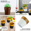 3-Pack Flower Plant Pots Small Design Black with Gold Rim - Plastic Indoor Decorative Planters 3"
