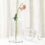2-Pack Glass Bud Vases Tapered Neck Design Clear - Stylish Floral Table Centerpieces 12"