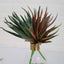 3 Pack 12" Artificial PVC Aloe Cameronii Decorative Succulent Plants