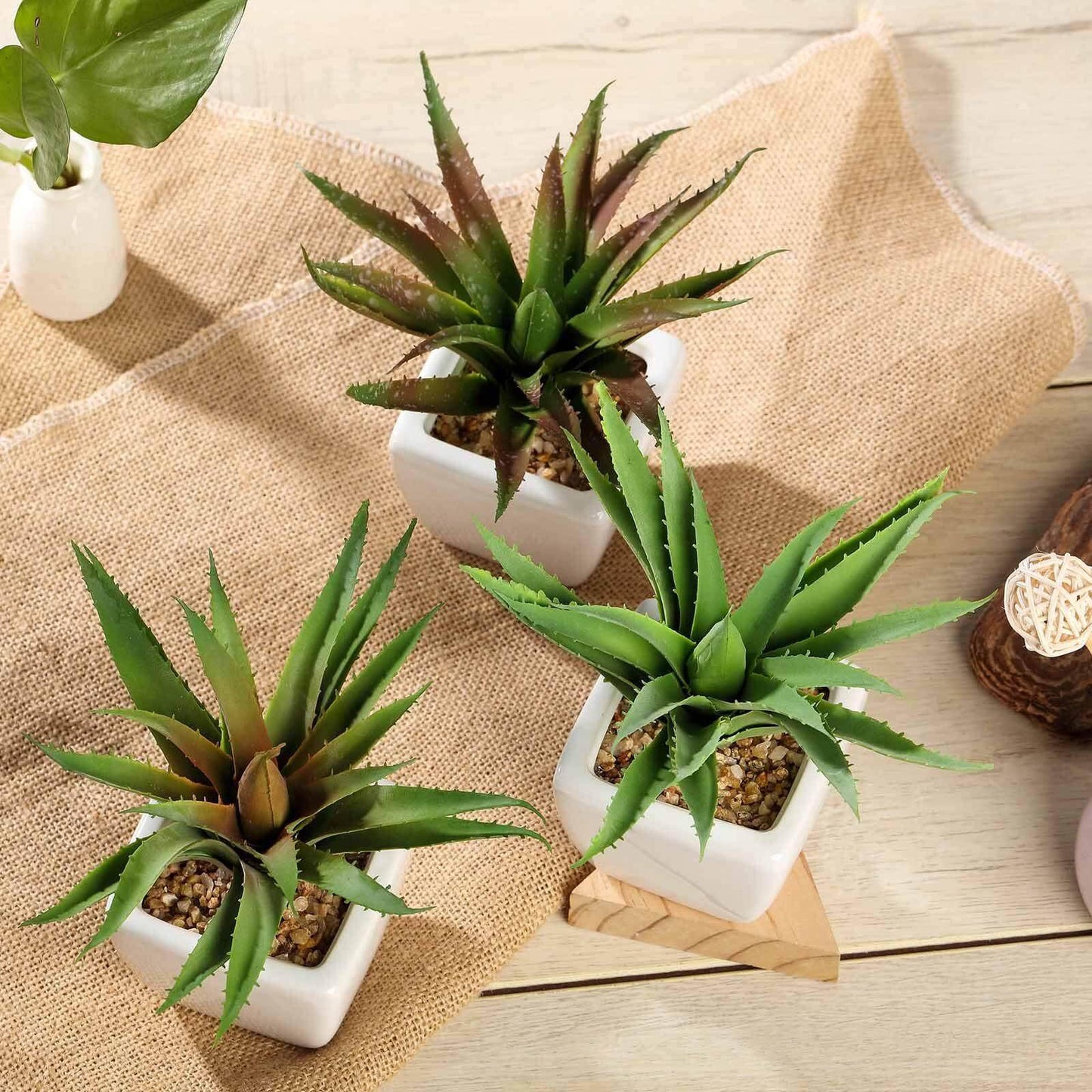 3-Pack Spotted Aloe Vera Artificial Succulents in Ceramic Pot - Lifelike Decorative Faux Plants for Home Office & Event Design 5"