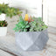 Geometric Planter Mini Cement Design Gray Finish - Concrete Succulent Flower Pot 7"