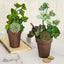 2-Pack Flower Plant Pots Medium Design Rustic Brown - Plastic Indoor Decorative Planters 6"