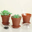12-Pack Dessert Cups Succulent Planter Design Terracotta (Rust) - Plastic Serving Cups with Lids and Shovels 4"