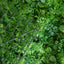 11 Sq ft. Green Boxwood Hedge Locust and Cypress Garden Wall Backdrop Mat - 4 Artificial Panels
