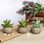 3-Pack Aloe Artificial Succulents in Ceramic Pot - Lifelike Decorative Faux Plants for Home Office & Event Design 5"