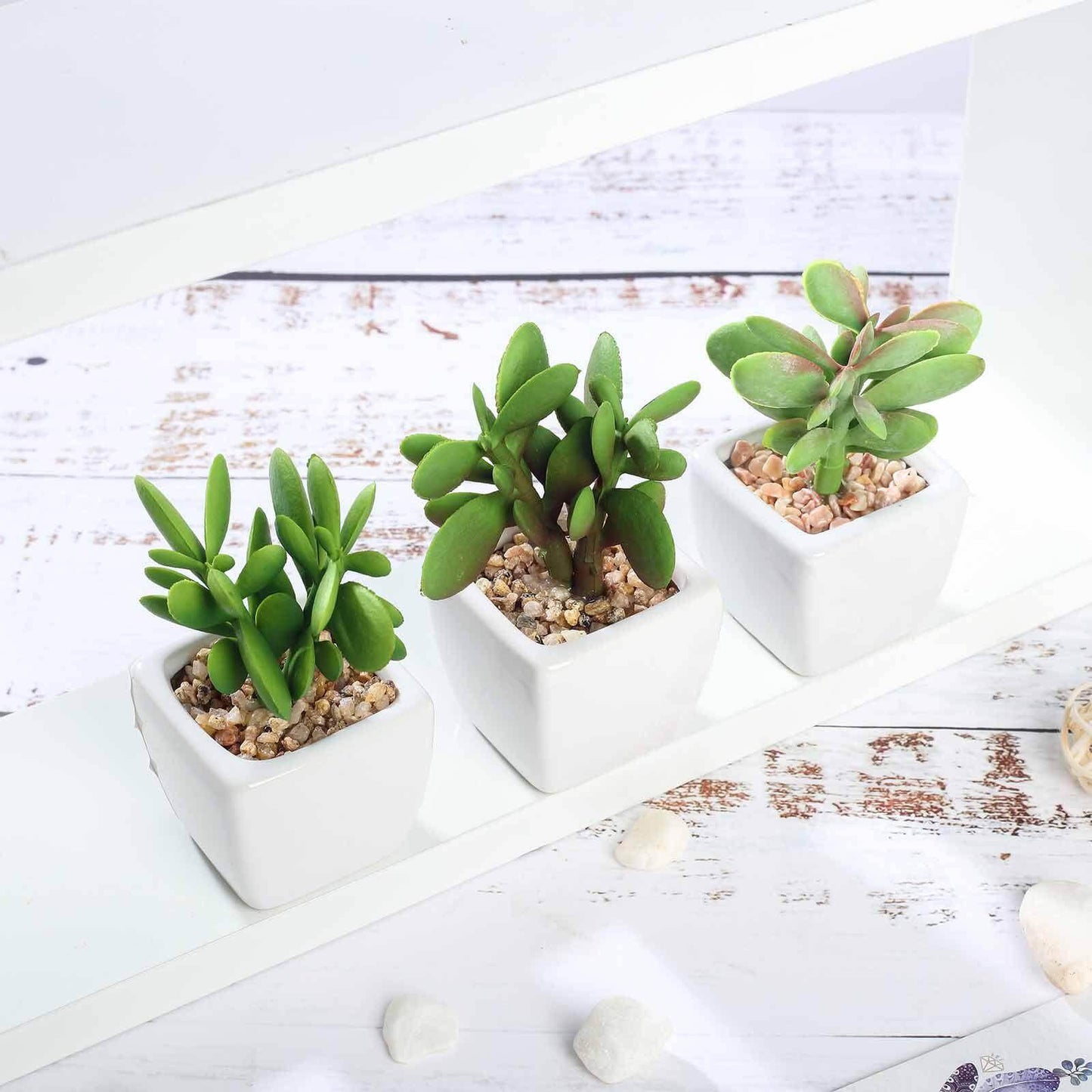 3-Pack Mini Jade Artificial Succulents in Ceramic Pots - Lifelike Decorative Faux Plants for Home Office & Event Design 3"