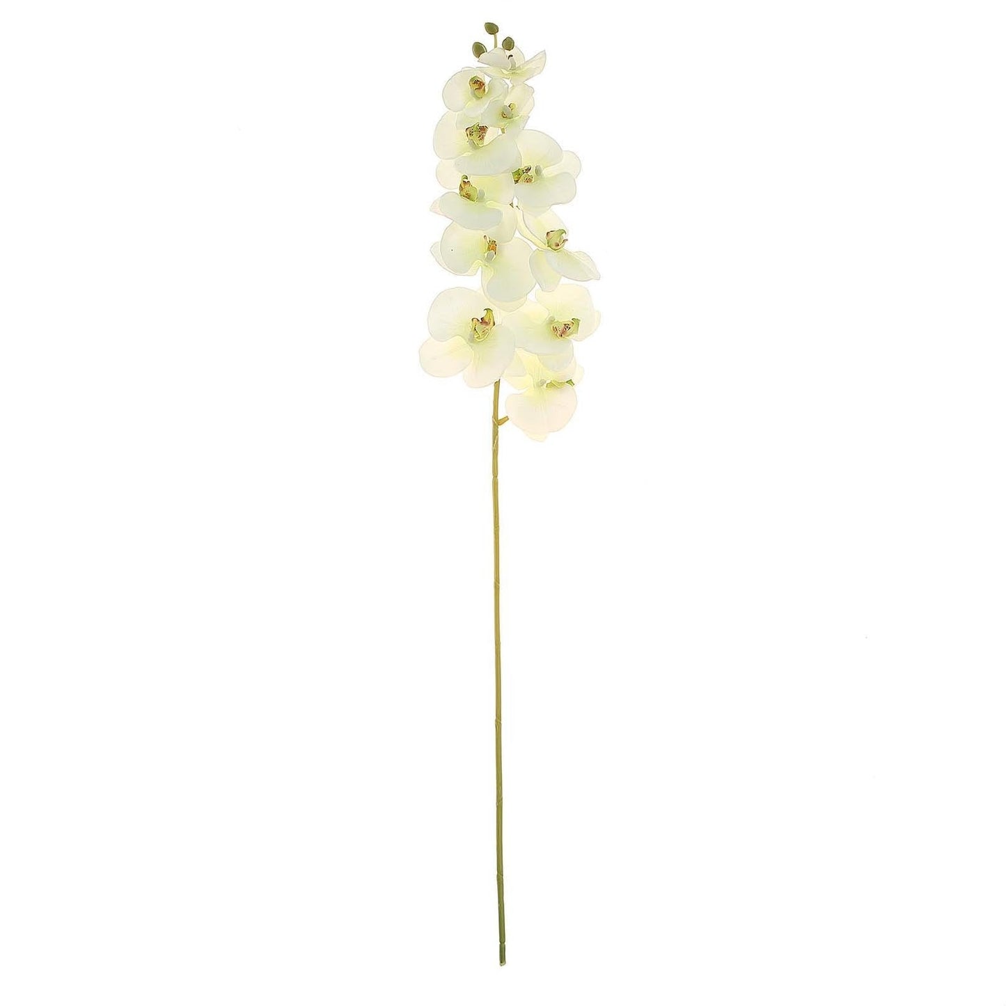 2 Stems 40" Tall Cream Artificial Silk Orchid Flower Bouquets