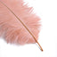12 Pack 13"-15" Mauve Natural Plume Real Ostrich Feathers, DIY Centerpiece Fillers
