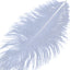 12 Pack 13"-15" Dusty Blue Natural Plume Real Ostrich Feathers, DIY Centerpiece Fillers
