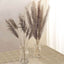 6 Stems Natural Dried Pampas Grass Decor Natural Tint - Versatile Plant Sprays for Boho Chic Vase Displays Backdrops & Event Styling 32"