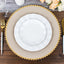 6-Pack Acrylic Round Charger Plates 13" in Taupe with Gold Beaded Rim, Decorative Dinner Party Charger Tableware