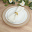 10-Pack Economy Round Plastic Charger Plates 13" in Taupe with Gold Beaded Rim, Stylish Dinner Party Serving Plates