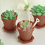 12-Pack Dessert Cups Succulent Planter Design Terracotta (Rust) - Plastic Serving Cups with Lids and Shovels 4"
