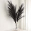 3 Stems Artificial Pampas Grass Decor Black - Soft Realistic Faux Ornamental Grass Branches for Rustic Boho Chic Backdrops Floral Styling & Vase Displays 44"