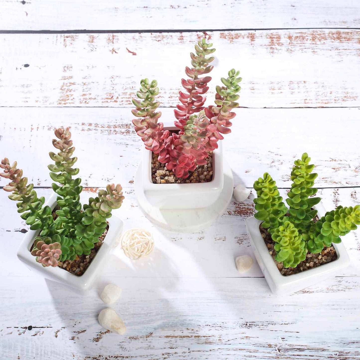 3-Pack Sedum Artificial Succulents in Ceramic Pot - Lifelike Decorative Faux Plants for Home Office & Event Design 8"