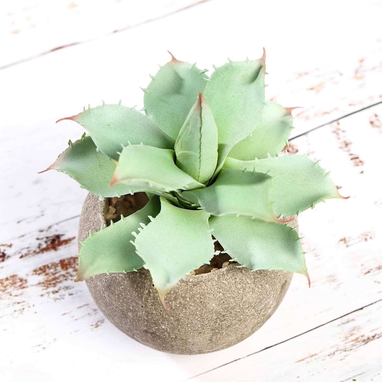3-Pack Aloe Artificial Succulents in Ceramic Pot - Lifelike Decorative Faux Plants for Home Office & Event Design 5"