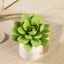 3 Pack 3" Artificial PVC Roundleaf Echeveria Stem Succulent Plants