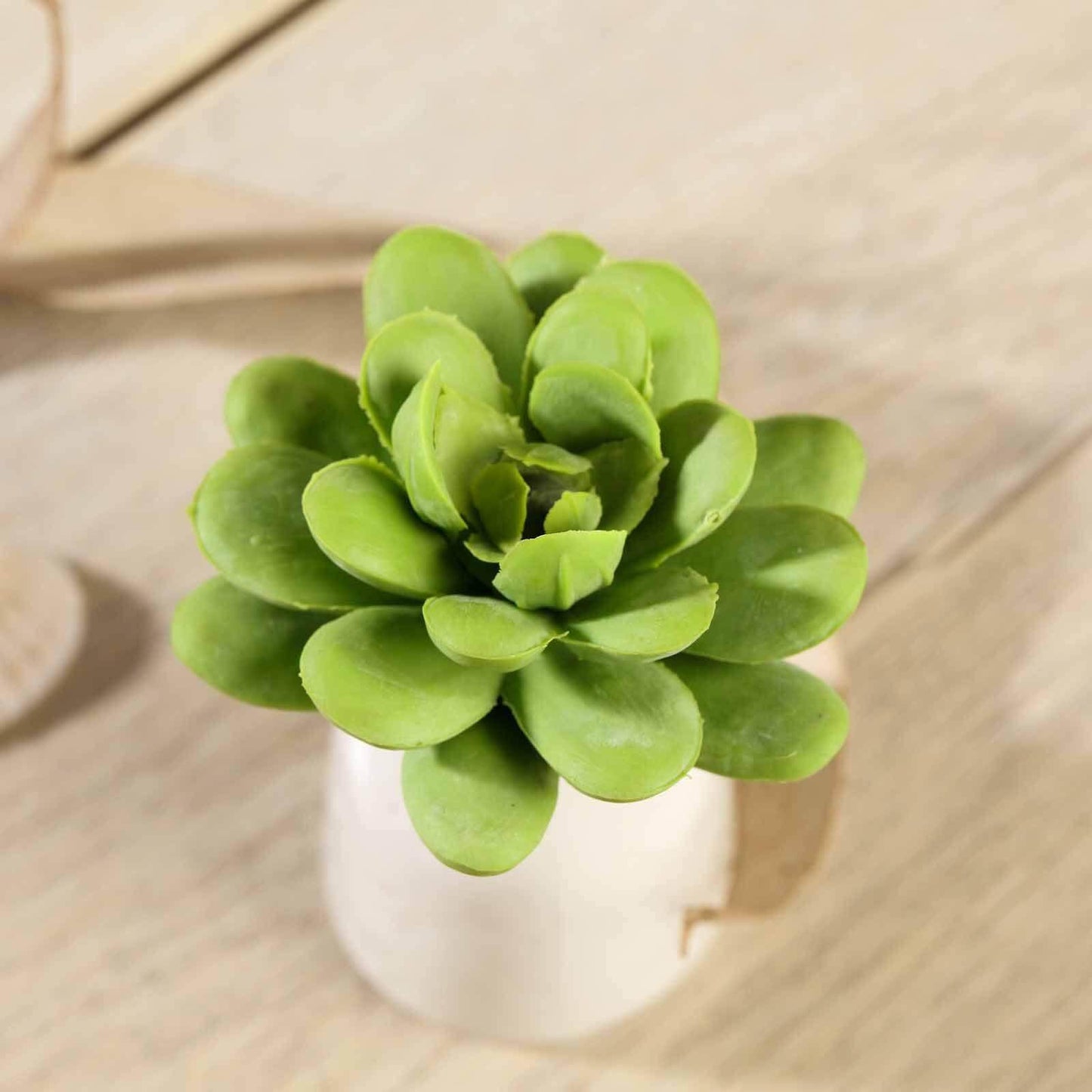 3 Pack 3" Artificial PVC Roundleaf Echeveria Stem Succulent Plants