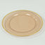 10-Pack Economy Plastic Round Charger Plates 12" in Transparent Amber Gold with Wide Gold Rim, Decorative Dinner Party Serving Plates
