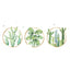 Green Tropical Leaf Plants and Cactus Flat Frame Wall Decals, Decor Stickers