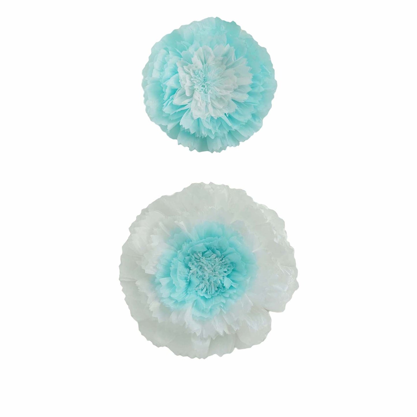 Set of 2 Light Blue Carnation 3D Wall Giant Tissue Paper Flowers - 12",16"
