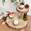 2-Tier Wooden Cheese Board Stand Elm Wood Slice Design Natural - Rustic Cupcake Centerpiece 8"