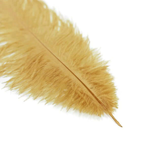 12 Pack 13"-15" Gold Natural Plume Real Ostrich Feathers, DIY Centerpiece Fillers