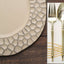 6-Pack Round Charger Plates 13" in Taupe with Hammered Rim, Matte Finish Modern Dinner Charger Tableware