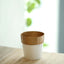 3-Pack Flower Plant Pots Small Design White with Gold Rim - Plastic Indoor Decorative Planters 3"